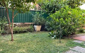 Il giardino dei limoni
